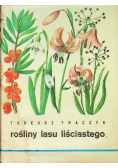 Rośliny lasu liściastego