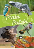 Ptaki Polski
