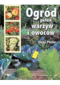 Ogród pełen warzyw i  owoców