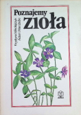Poznajemy zioła