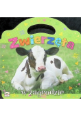 W zagrodzie