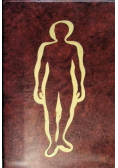 Anatomia człowieka repetytorium