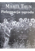 Pielęgnacja ogrodu