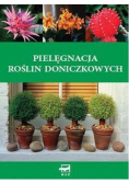 Pielęgnacja roślin doniczkowych