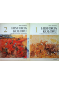 Historia koloru w dziejach malarstwa europejskiego