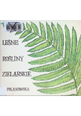 Leśne rośliny zielarskie