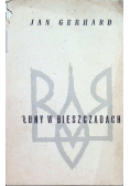 Łuny w Bieszczadach