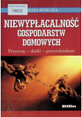 Niewypłacalność gospodarstw domowych