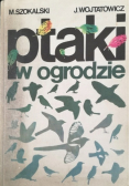 Ptaki w ogrodzie