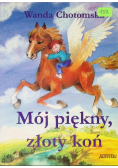 Mój piękny złoty koń
