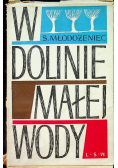 W dolinie małej wody
