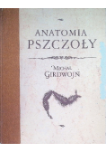 Anatomia Pszczoły