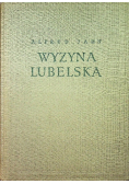 Wyżyna lubelska
