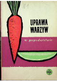 Uprawa warzyw w gospodarstwie
