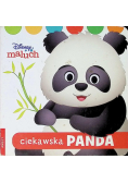Maluch Ciekawska panda