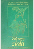 Zbieramy zioła