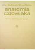 Anatomia człowieka Tom IV