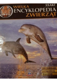 Wielka encyklopedia zwierząt Tom 23 Ryby
