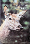 Śladami zwierząt