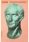 O wojnie domowej