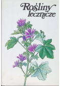 Rośliny Lecznicze