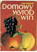 Domowy wyrób win