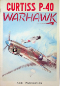 Curtiss P-40 Warhawk