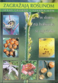 Zagrażają roślinom. Atlas chorób i szkodników