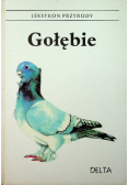 Leksykon Przyrody Gołębie