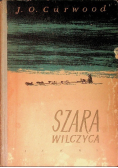 Szara wilczyca