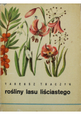 Rośliny lasu liściastego