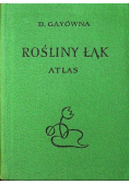Rośliny łąk atlas