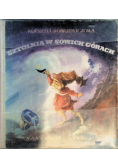 Sztolnia w Sowich Górach