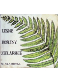Leśne rośliny zielarskie