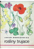 Rośliny Trujące
