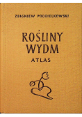 Rośliny wydm Atlas