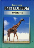 Ilustrowana Encyklopedia. Zwierzęta