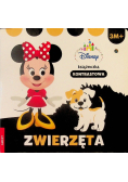 Disney maluch Książeczka kontrastowa Zwierzęta