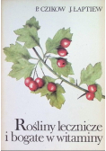 Rośliny lecznicze i bogate w witaminy