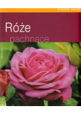 Róże pachnące