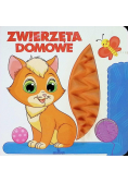 Zwierzęta domowe