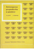 Intensywna gospodarka w pasiece