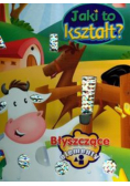 Jaki to kształt Błyszczące elementy