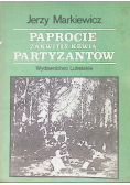 Paprocie zakwitły krwią partyzantów
