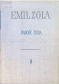 Radość życia