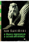 Z życia zwierząt