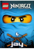 Ninjago masters of Spinjitzu Jay