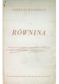 Równina