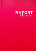 Raport Witolda