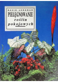 Pielęgnowanie roślin pokojowych